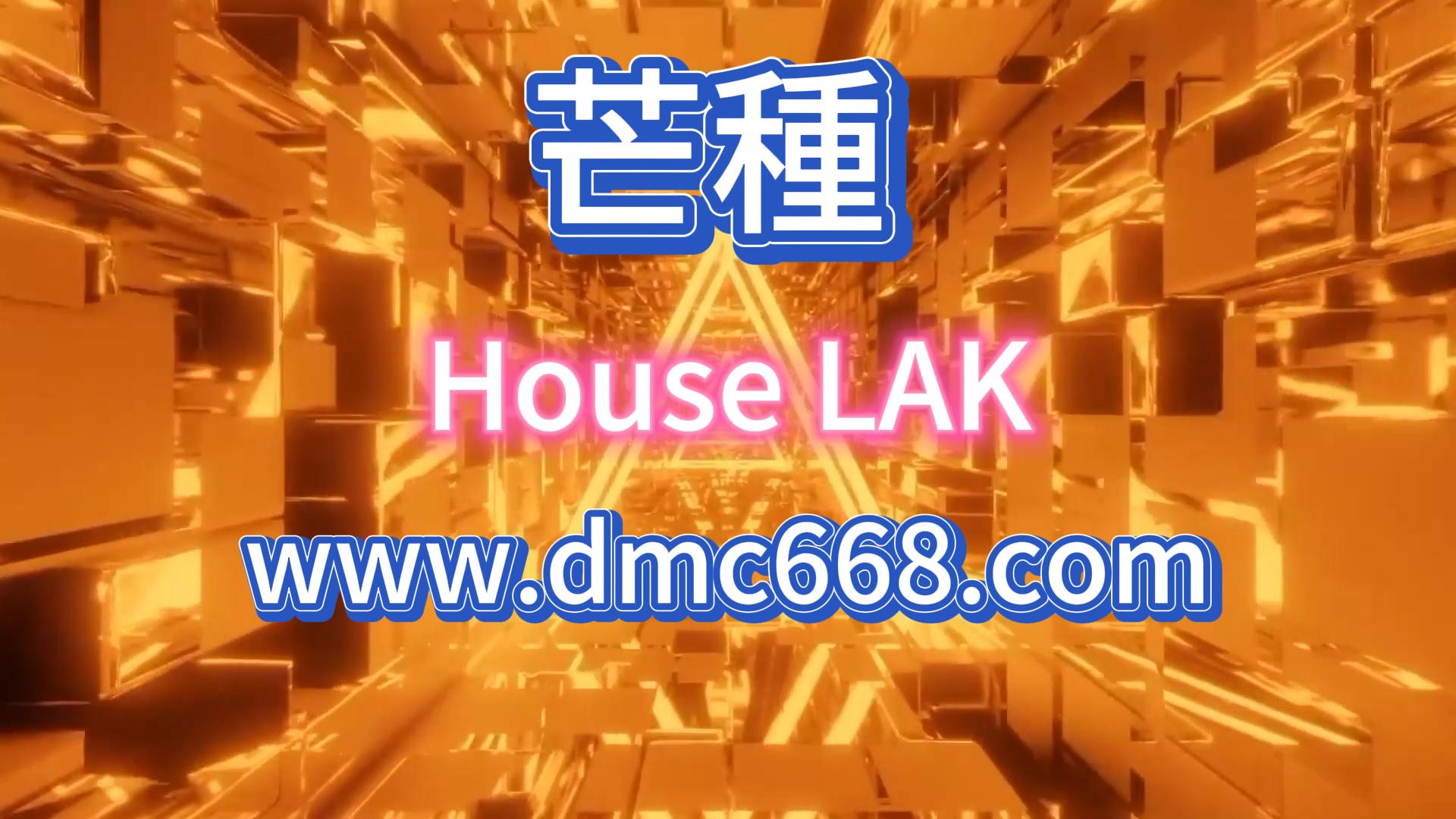 芒種-DMC视频舞曲