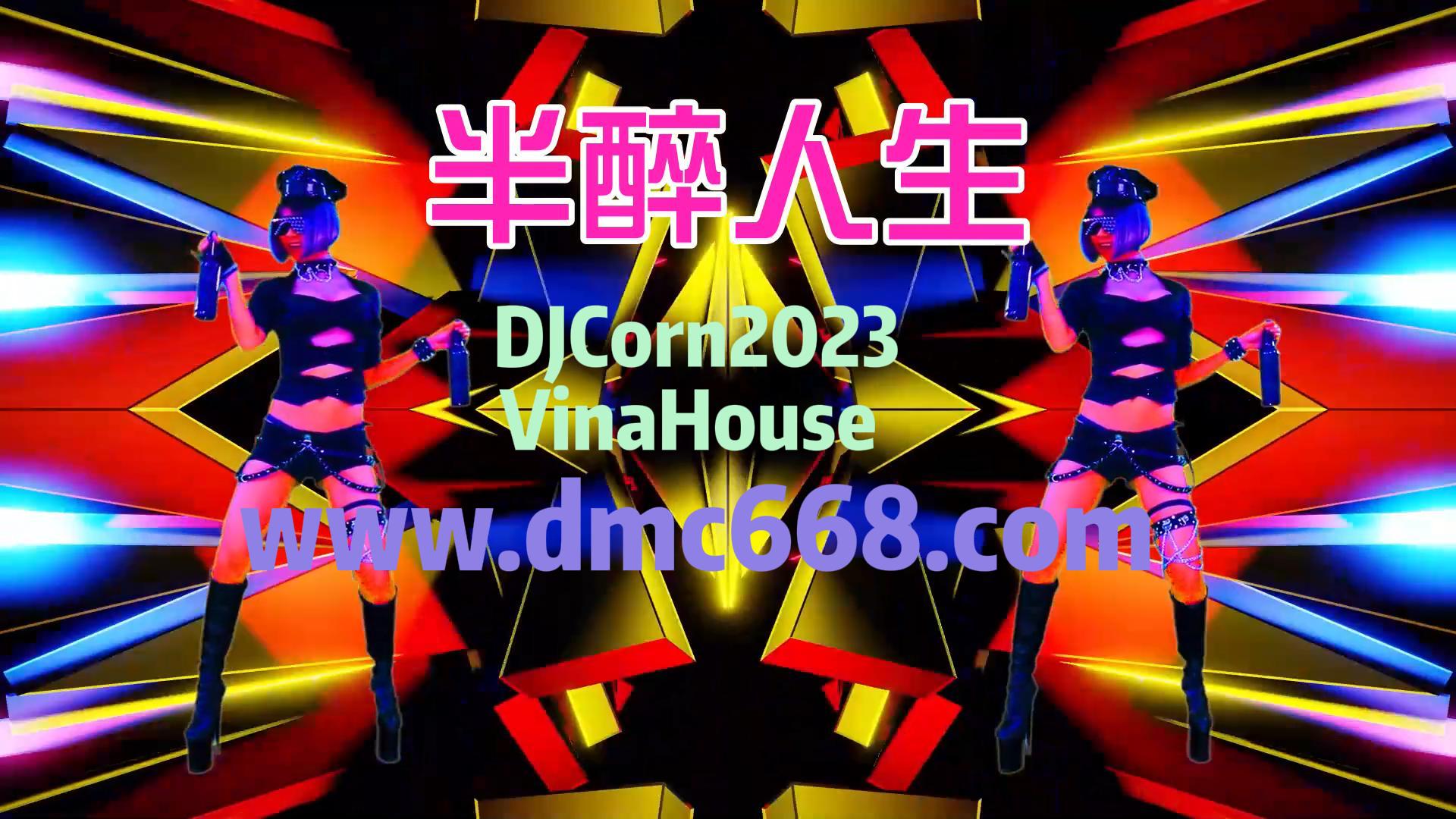 半醉人生-DMC视频舞曲