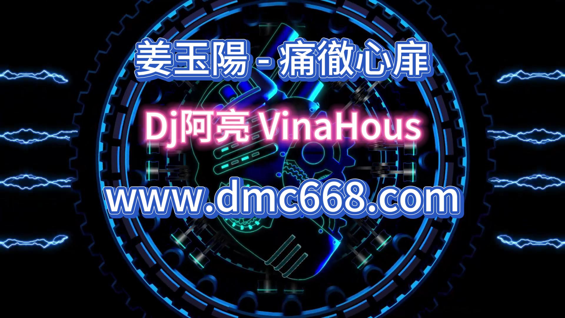 痛徹心扉-DMC视频舞曲