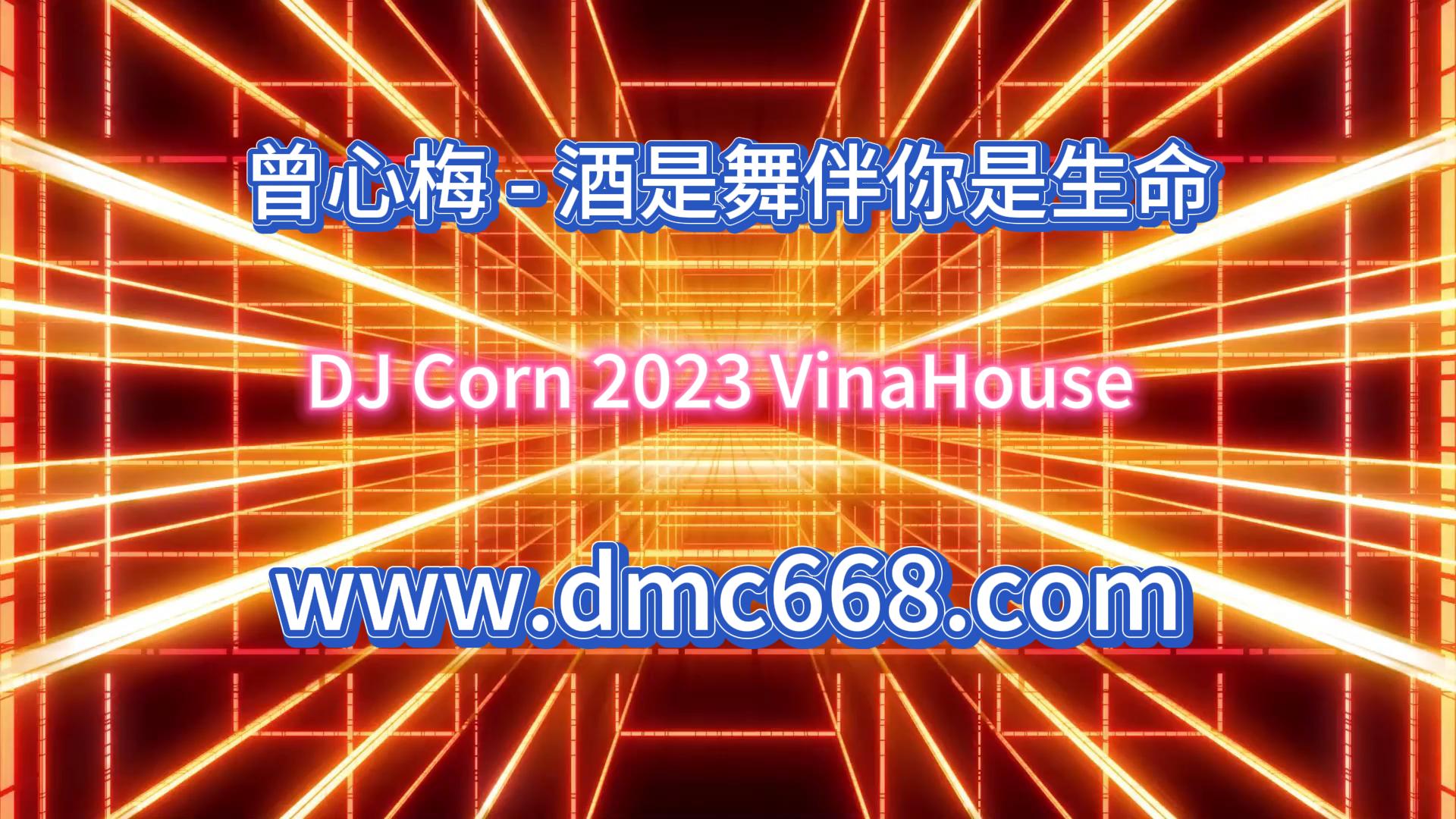 曾心梅 – 酒是舞伴你是生命-DMC视频舞曲