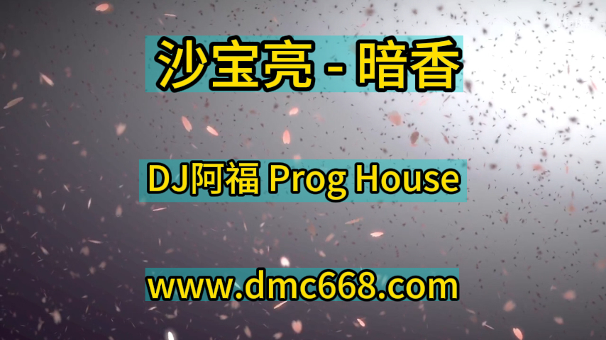 沙宝亮 – 暗香 (DJ阿福 Prog House Remix)-DMC视频舞曲