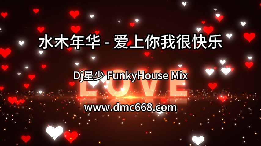 水木年华 – 爱上你我很快乐(Dj星少 FunkyHouse Mix)-DMC视频舞曲