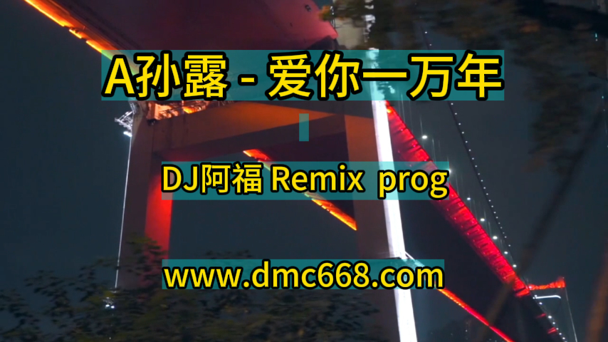孙露 – 爱你一万年 (DJ阿福 Remix)-DMC视频舞曲