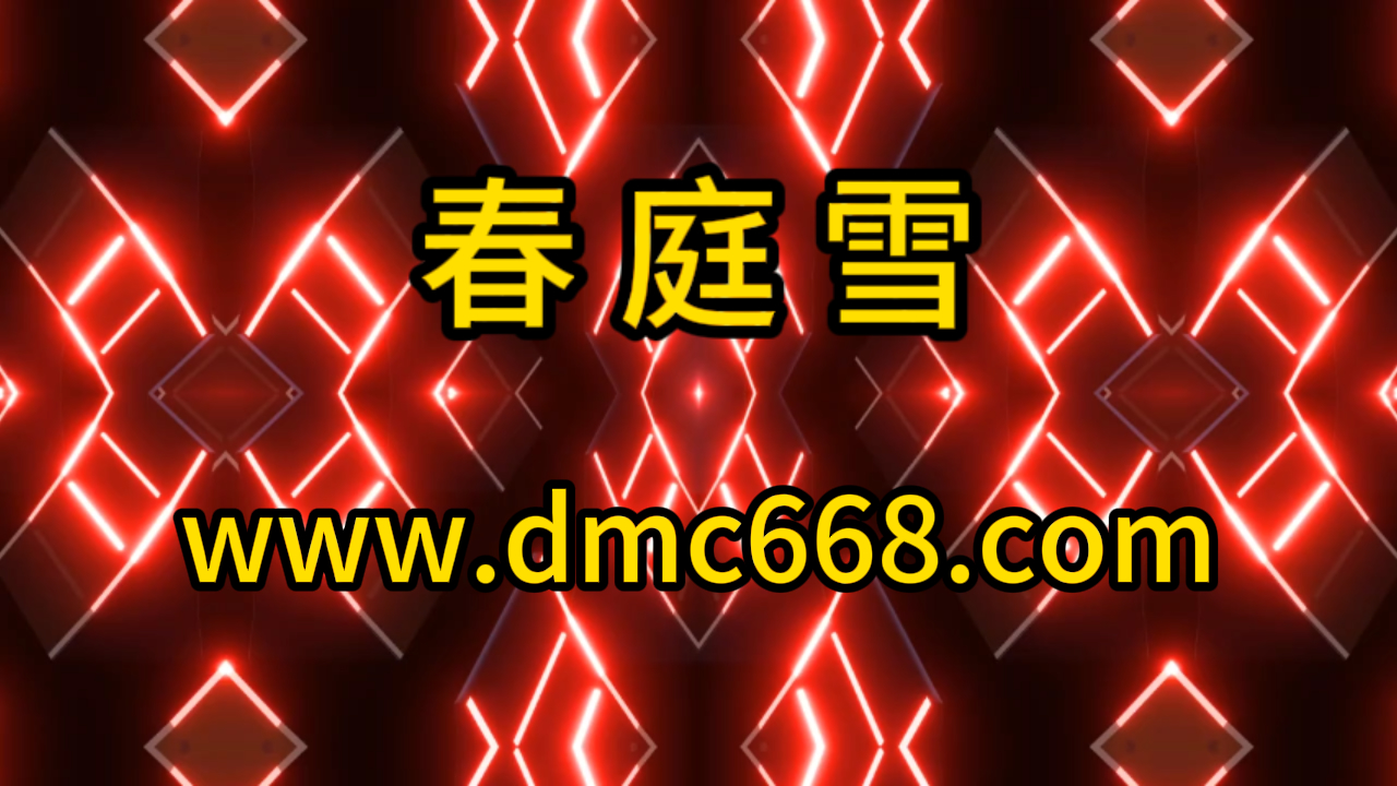 春庭雪-DMC视频舞曲
