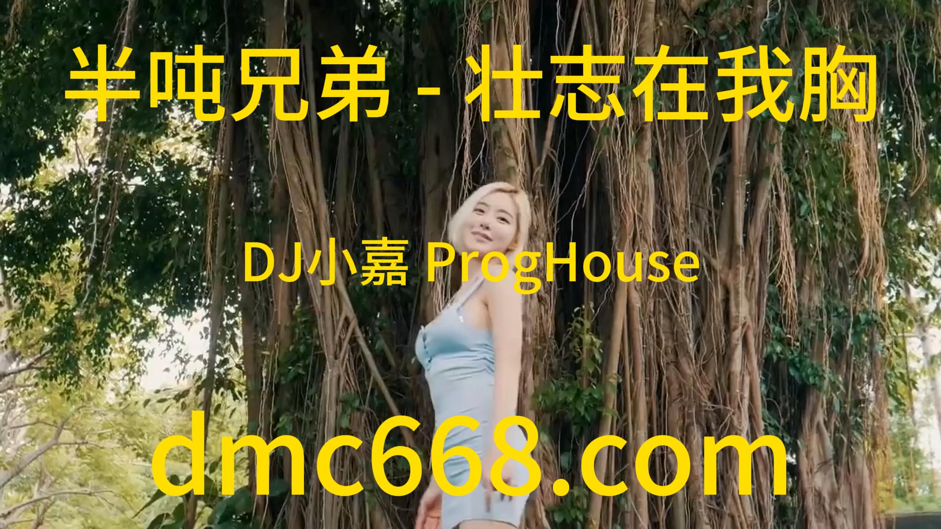 半吨兄弟 – 壮志在我胸(DJ小嘉 ProgHouse Rmx 2023)-DMC视频舞曲