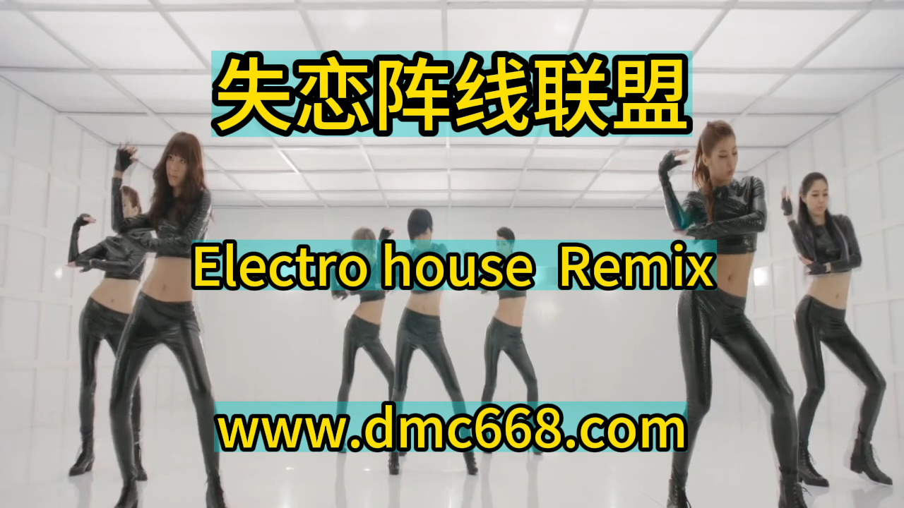 失恋阵线联盟-DMC视频舞曲