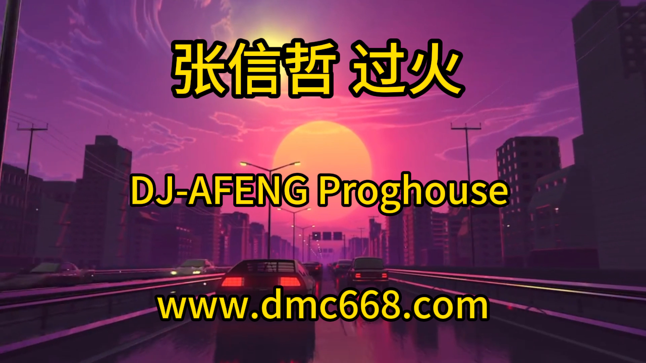 张信哲 过火 DJ-AFENG-DMC视频舞曲