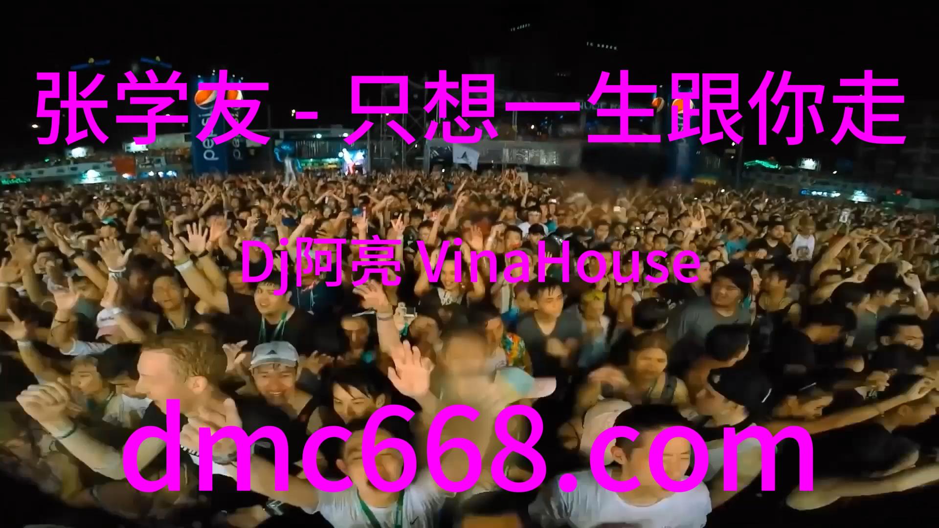 张学友 – 只想一生跟你走(Dj阿亮 VinaHouse Rmx)-DMC视频舞曲
