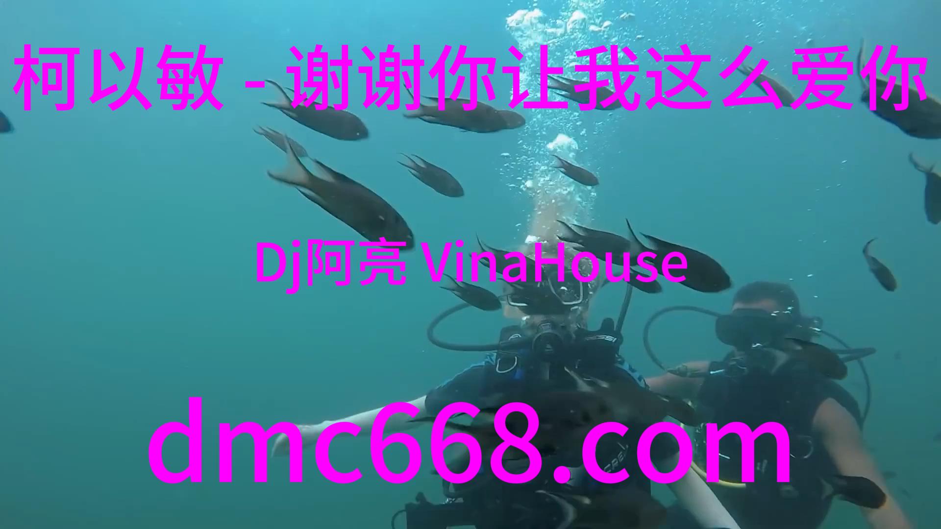 柯以敏 – 谢谢你让我这么爱你(Dj阿亮 VinaHouse)-DMC视频舞曲