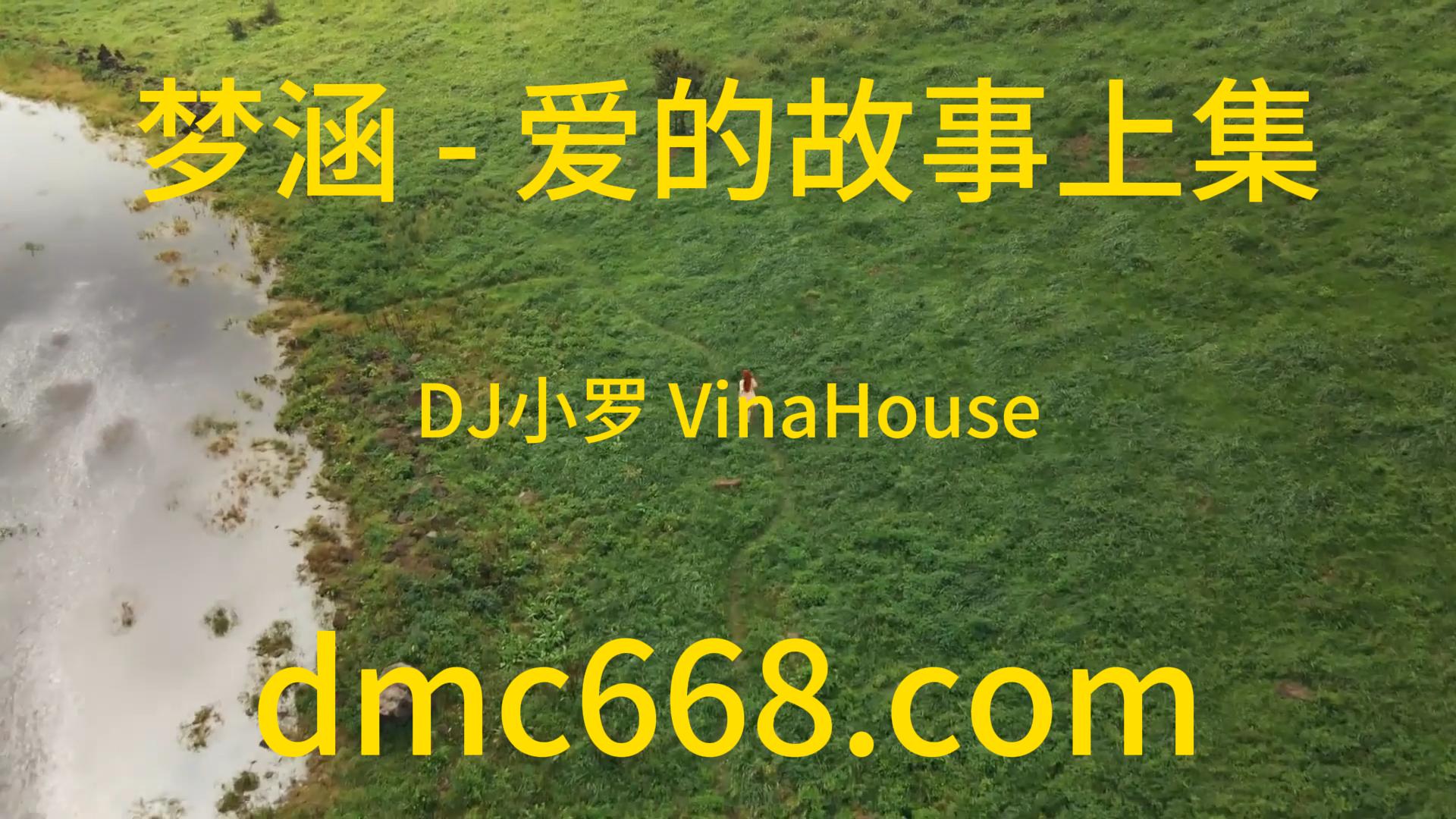 梦涵 – 爱的故事上集(DJ小罗 VinaHouse Mix 粤语女)-DMC视频舞曲