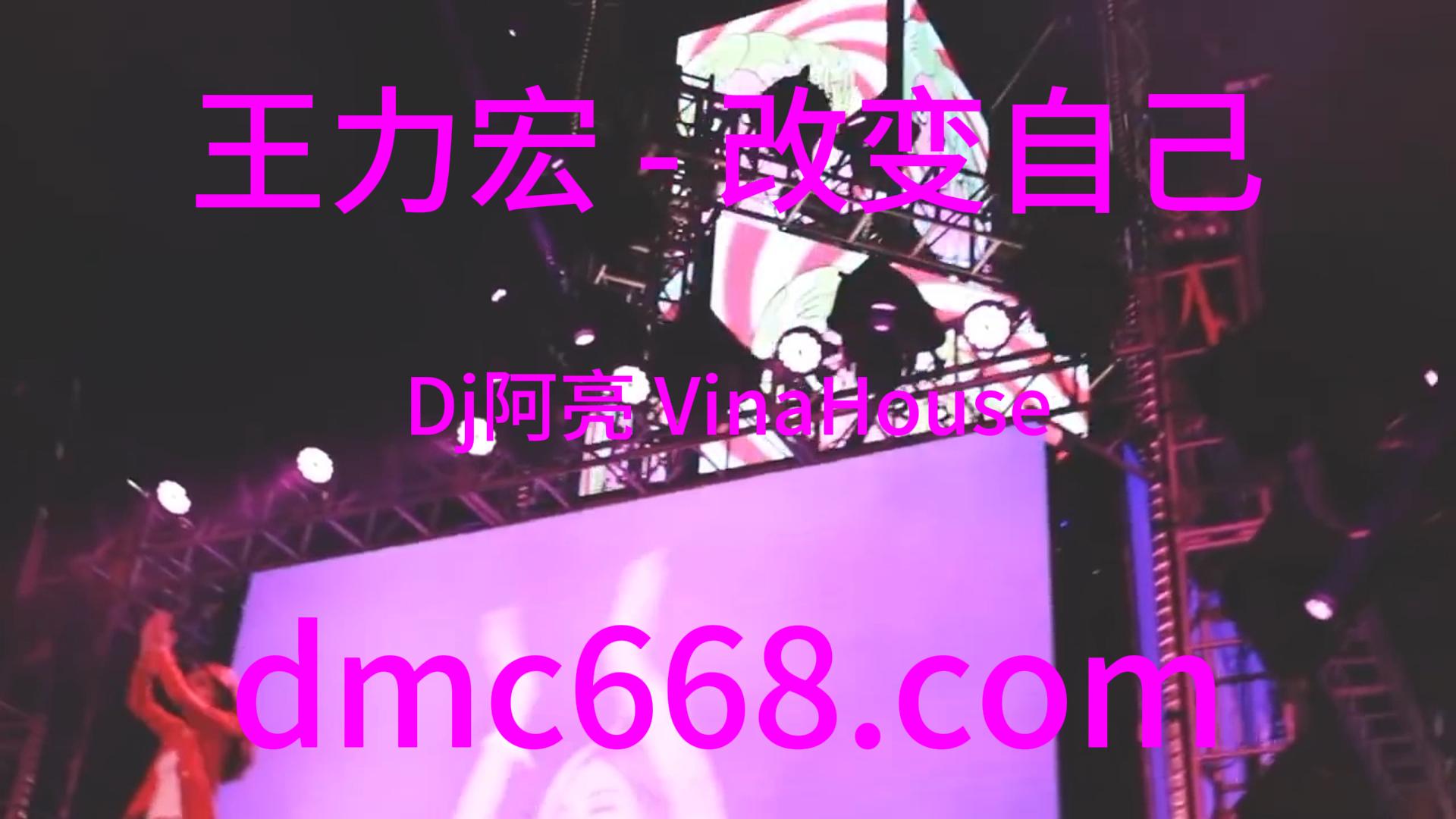 王力宏 – 改变自己(Dj阿亮 VinaHouse Rmx 2024)-DMC视频舞曲
