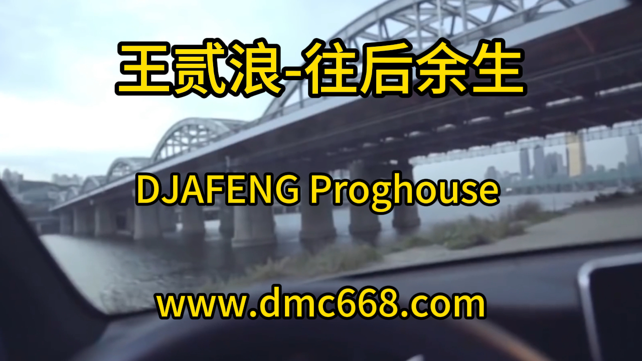 王贰浪-往后余生DJAFENG-DMC视频舞曲