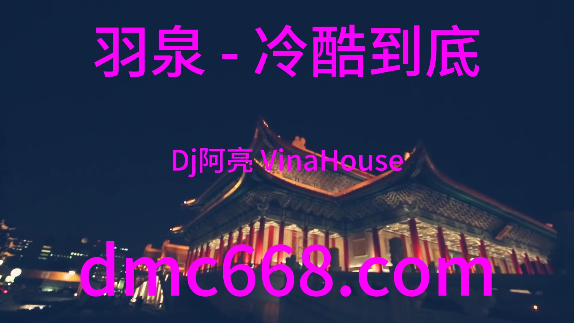 羽泉 – 冷酷到底(Dj阿亮 VinaHouse Rmx 2024)-DMC视频舞曲