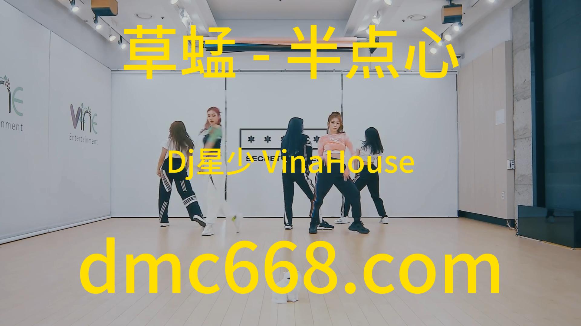 草蜢 – 半点心(南宁Dj星少 VinaHouse Rmx 2023 粤语)-DMC视频舞曲