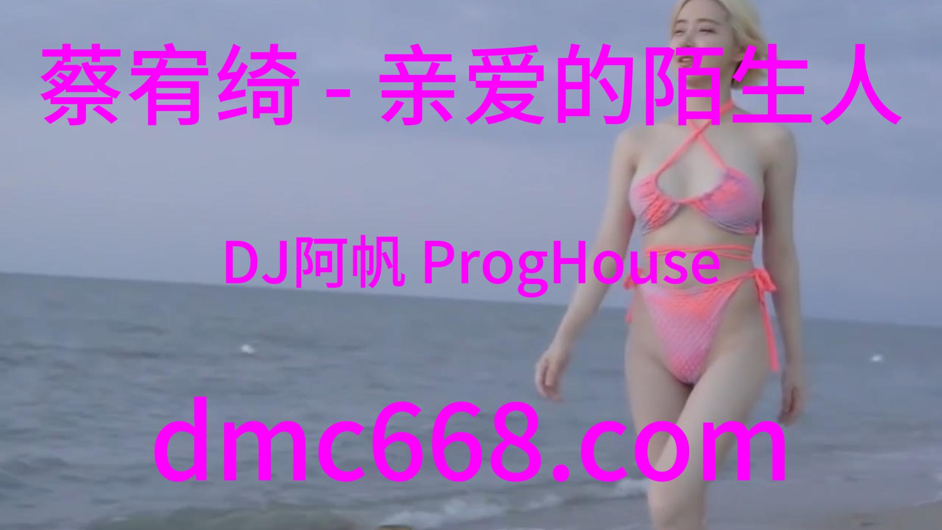 蔡宥绮 – 亲爱的陌生人(DJ阿帆 ProgHouse Rmx)-DMC视频舞曲