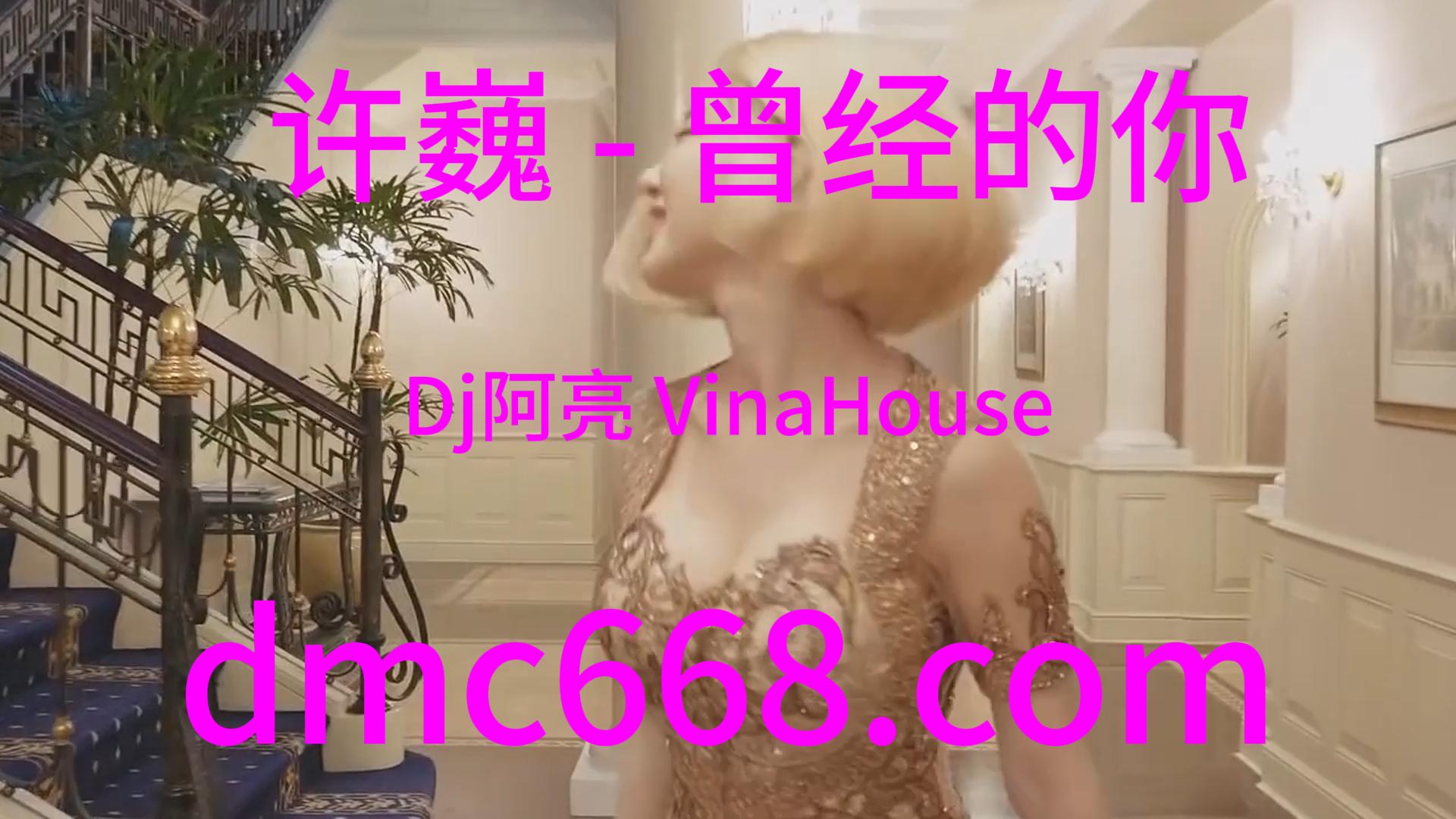 许巍 – 曾经的你(Dj阿亮 VinaHouse Rmx 2024)-DMC视频舞曲