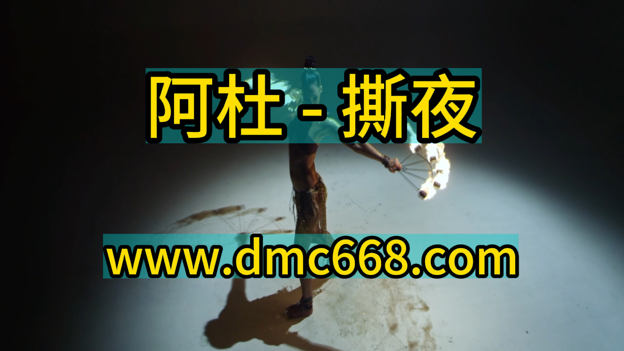 阿杜 撕夜  Electro house Remix-DMC视频舞曲