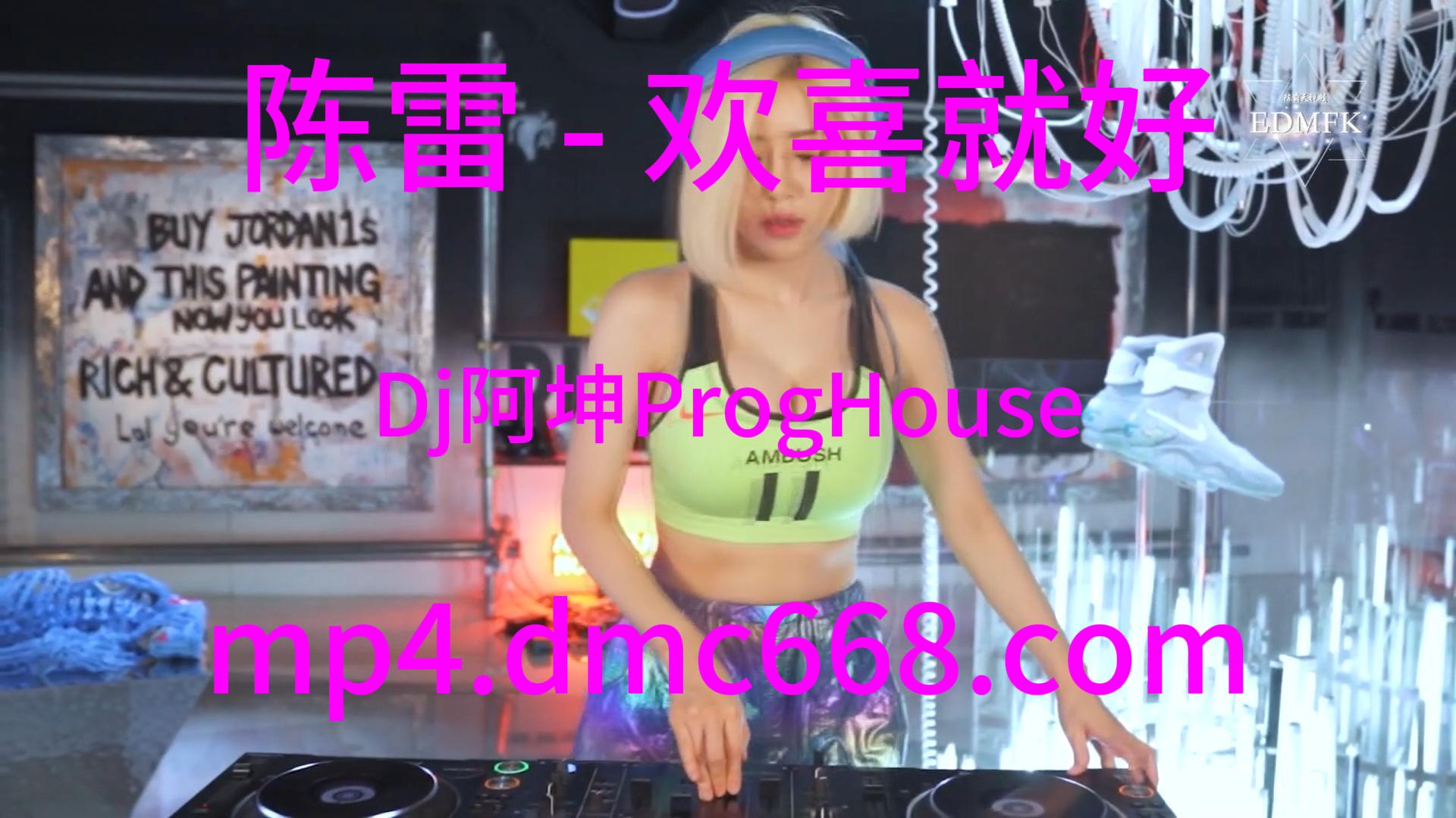 陈雷 – 欢喜就好(Dj阿坤 ProgHouse ReMix 2K21)-DMC视频舞曲