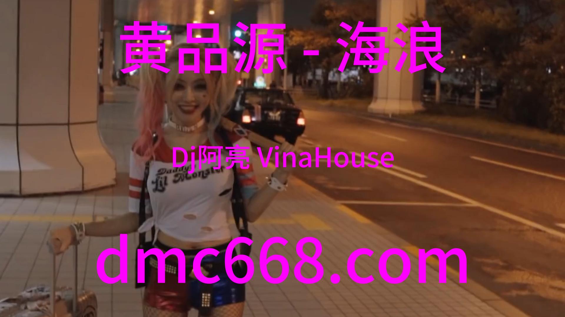 黄品源 – 海浪(Dj阿亮 VinaHouse Rmx 2024)-DMC视频舞曲