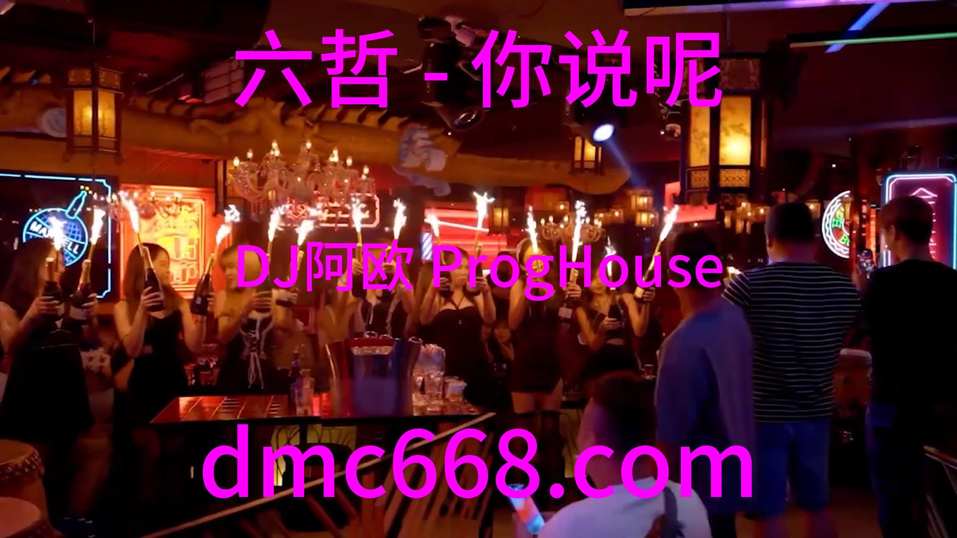 六哲 – 你说呢(DJ阿欧 ProgHouse Rmx 2023)-DMC视频舞曲