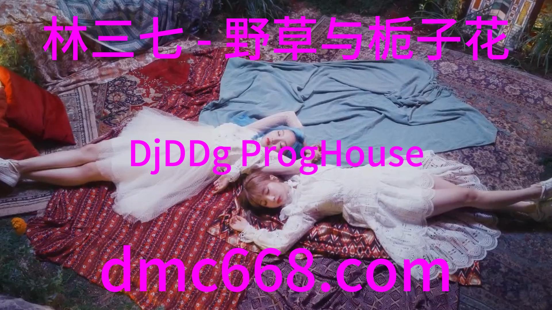 林三七 – 野草与栀子花(DjDDg ProgHouse Rmx 2023)-DMC视频舞曲