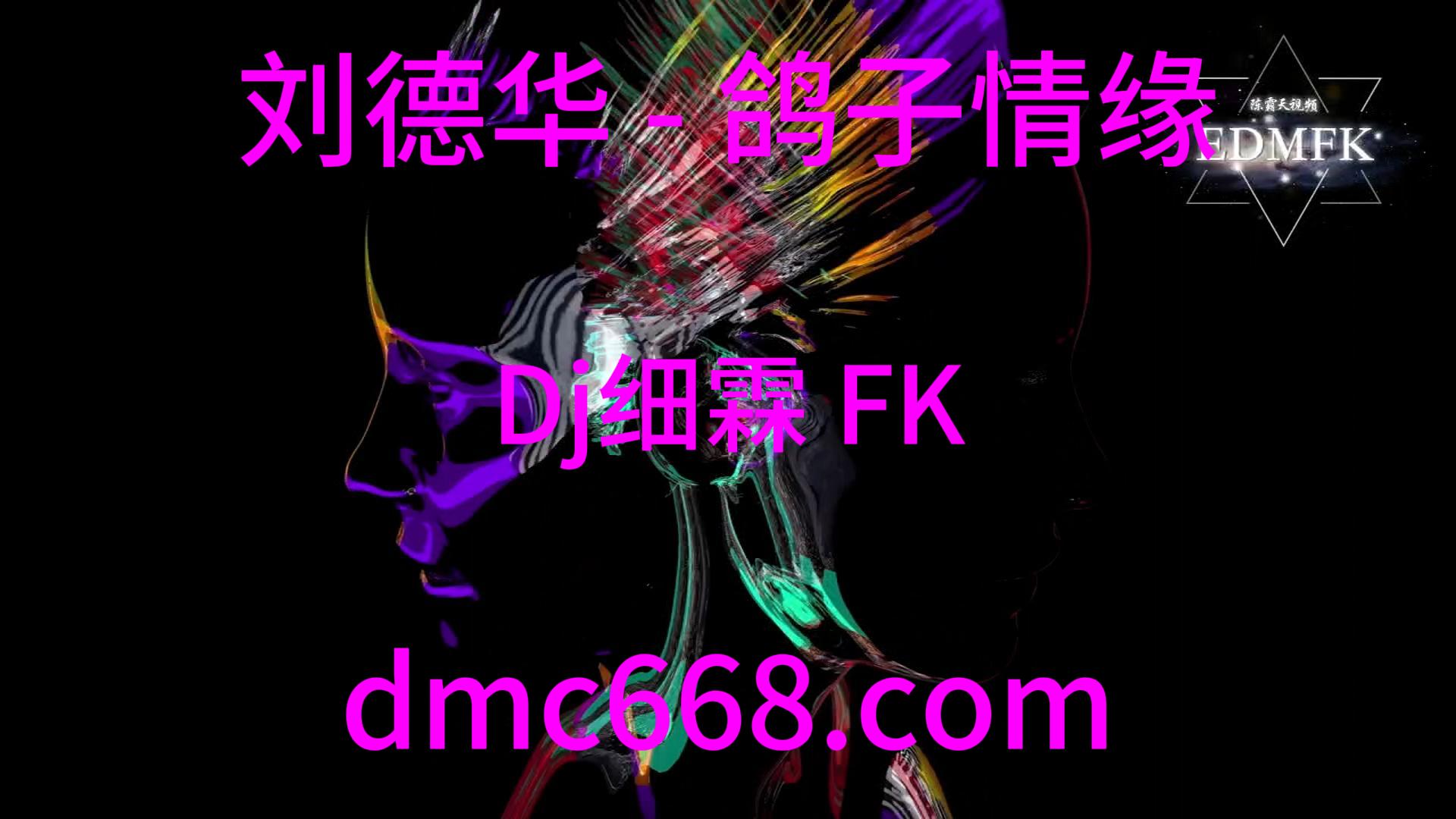 刘德华 – 鸽子情缘 Dj细霖 FK Remix 2022-DMC视频舞曲
