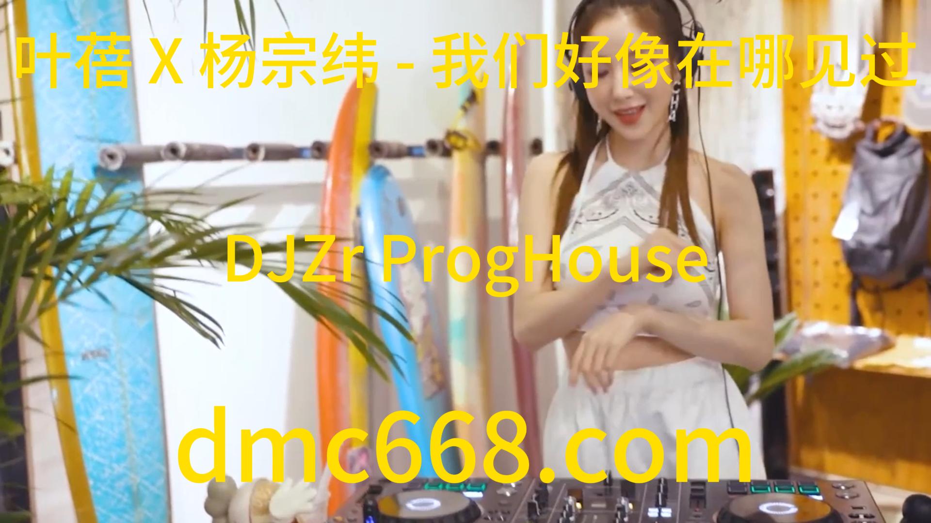 叶蓓 X 杨宗纬 – 我们好像在哪见过(DJZr ProgHouse Rmx 2023)-DMC视频舞曲
