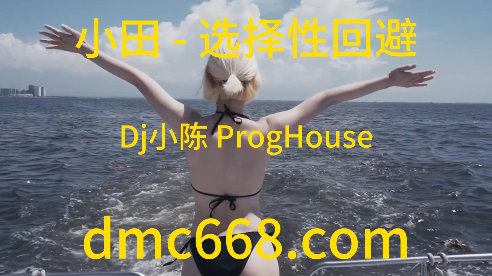 小田 – 选择性回避(Dj小陈 ProgHouse Rmx 2023)-DMC视频舞曲
