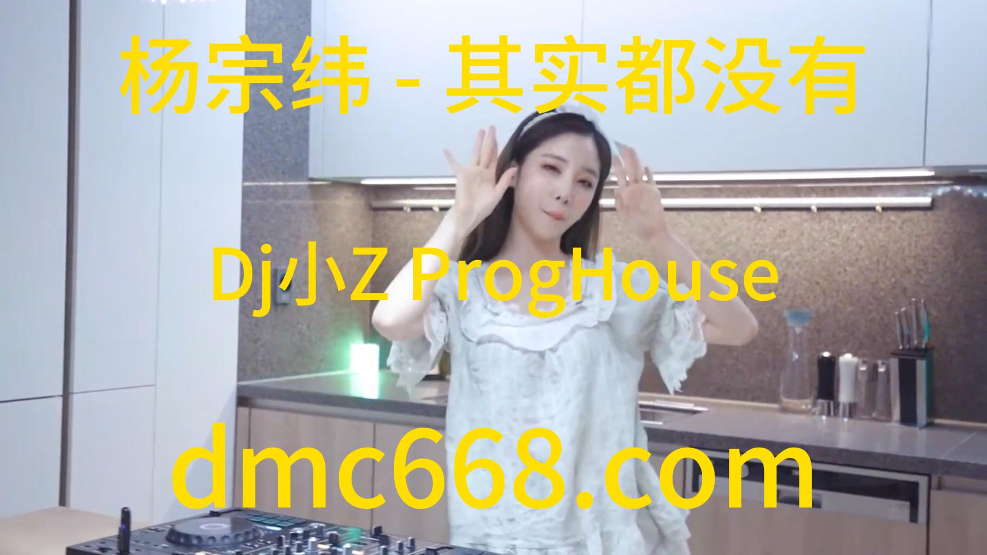 杨宗纬 – 其实都没有(Dj小Z ProgHouse Rmx 2024 V2)-DMC视频舞曲