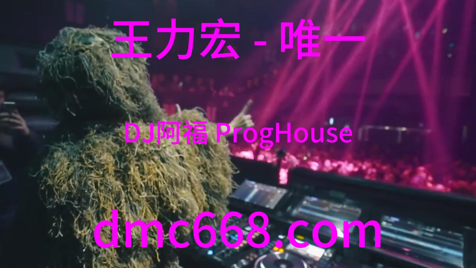 王力宏 – 唯一(DJ阿福 ProgHouse Rmx 2023)-DMC视频舞曲