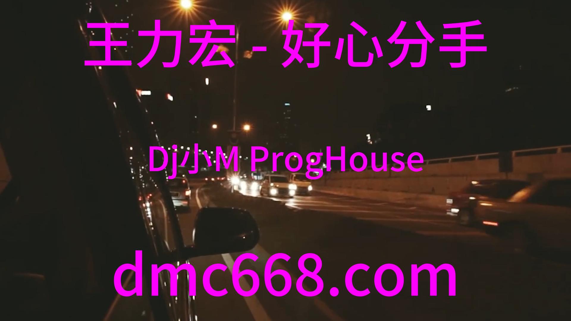 王力宏 – 好心分手(Dj小M ProgHouse Rmx 2024)-DMC视频舞曲