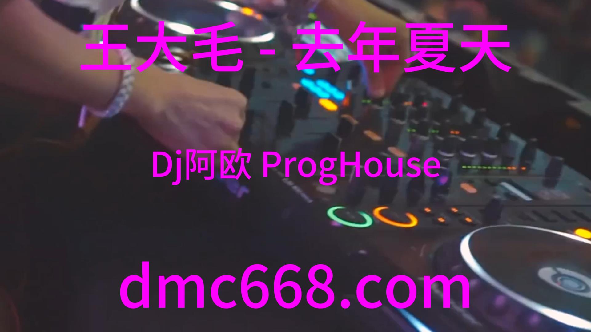 王大毛 – 去年夏天(Dj阿欧 ProgHouse Rmx 2023)-DMC视频舞曲