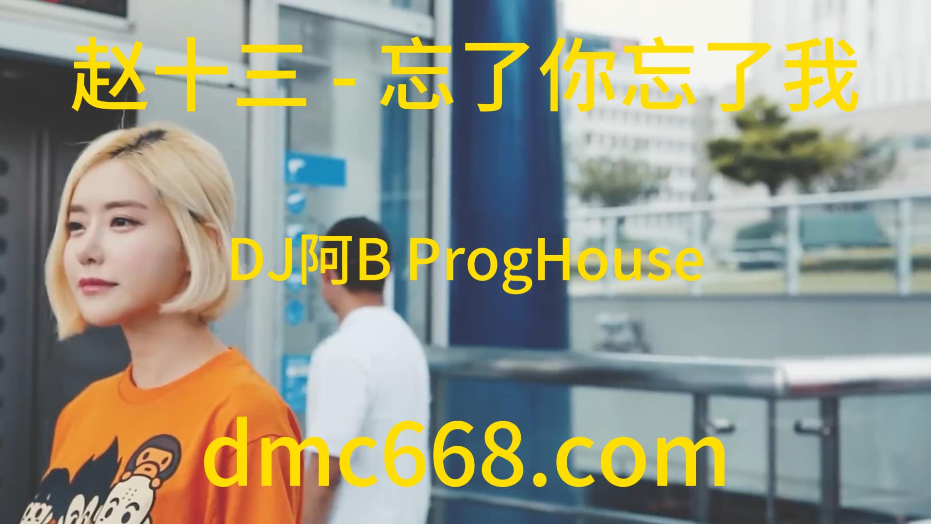赵十三 – 忘了你忘了我(DJ阿B ProgHouse Rmx 2023)-DMC视频舞曲