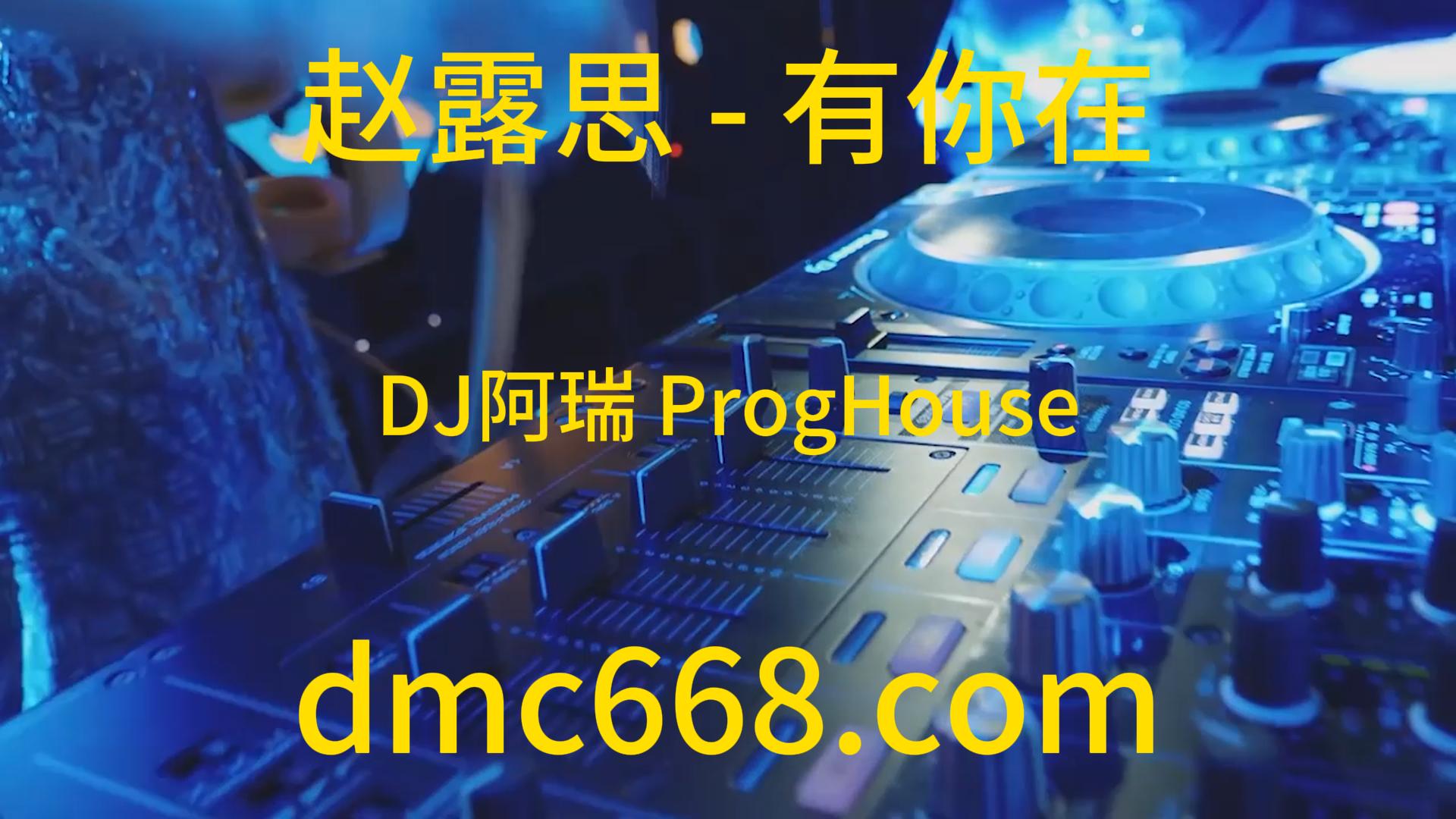 赵露思 – 有你在(DJ阿瑞 ProgHouse Rmx 2023)-DMC视频舞曲