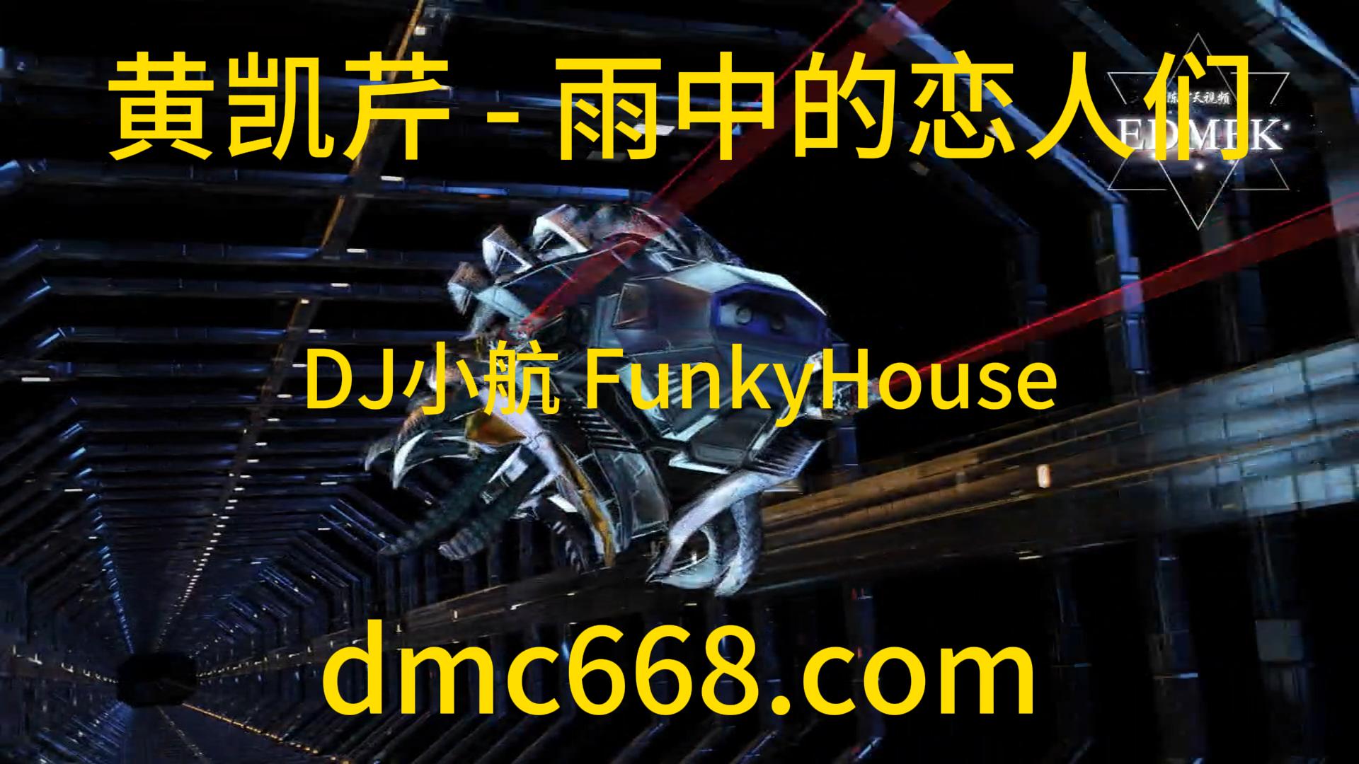黄凯芹 – 雨中的恋人们 (南宁DJ小航 FunkyHouse Mix 2022)-DMC视频舞曲