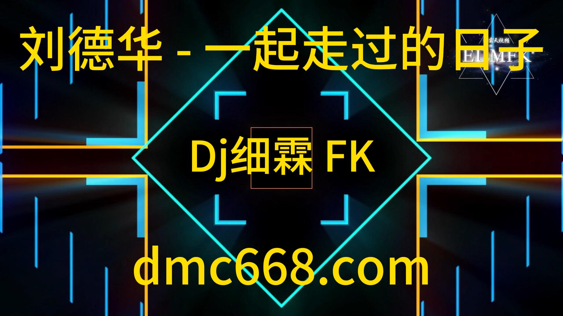 刘德华 – 一起走过的日子 Dj细霖 FK Remix 2022-DMC视频舞曲