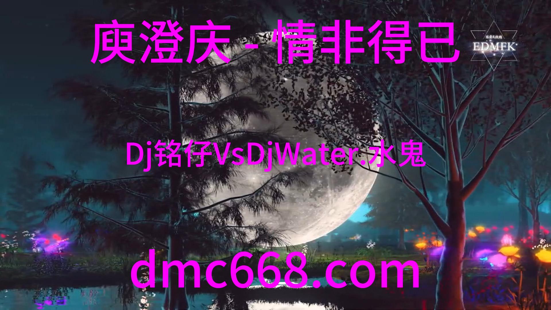 庾澄庆 – 情非得已 (Dj铭仔VsDjWater.水鬼 2020 Remix)-DMC视频舞曲