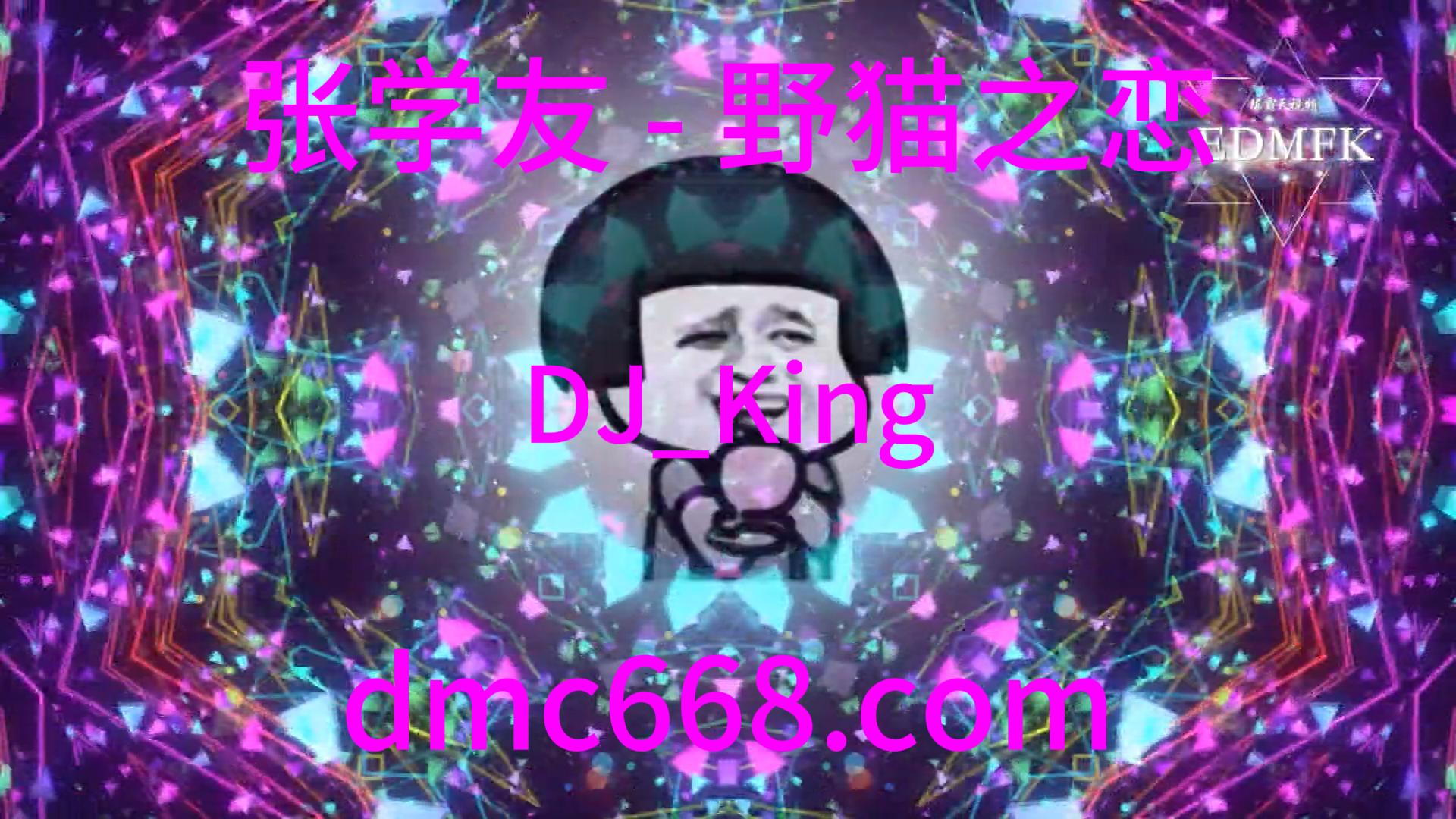 张学友 – 野猫之恋-DJ_King_et_王紫-DMC视频舞曲