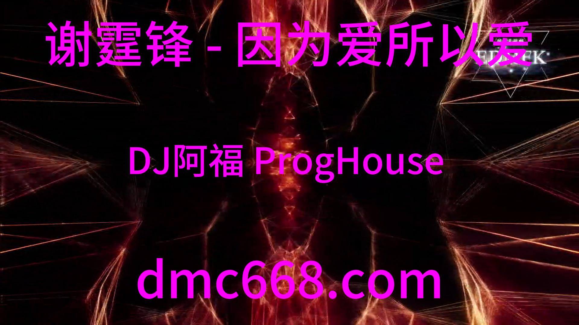 谢霆锋 – 因为爱所以爱(DJ阿福 ProgHouse Remix)-DMC视频舞曲