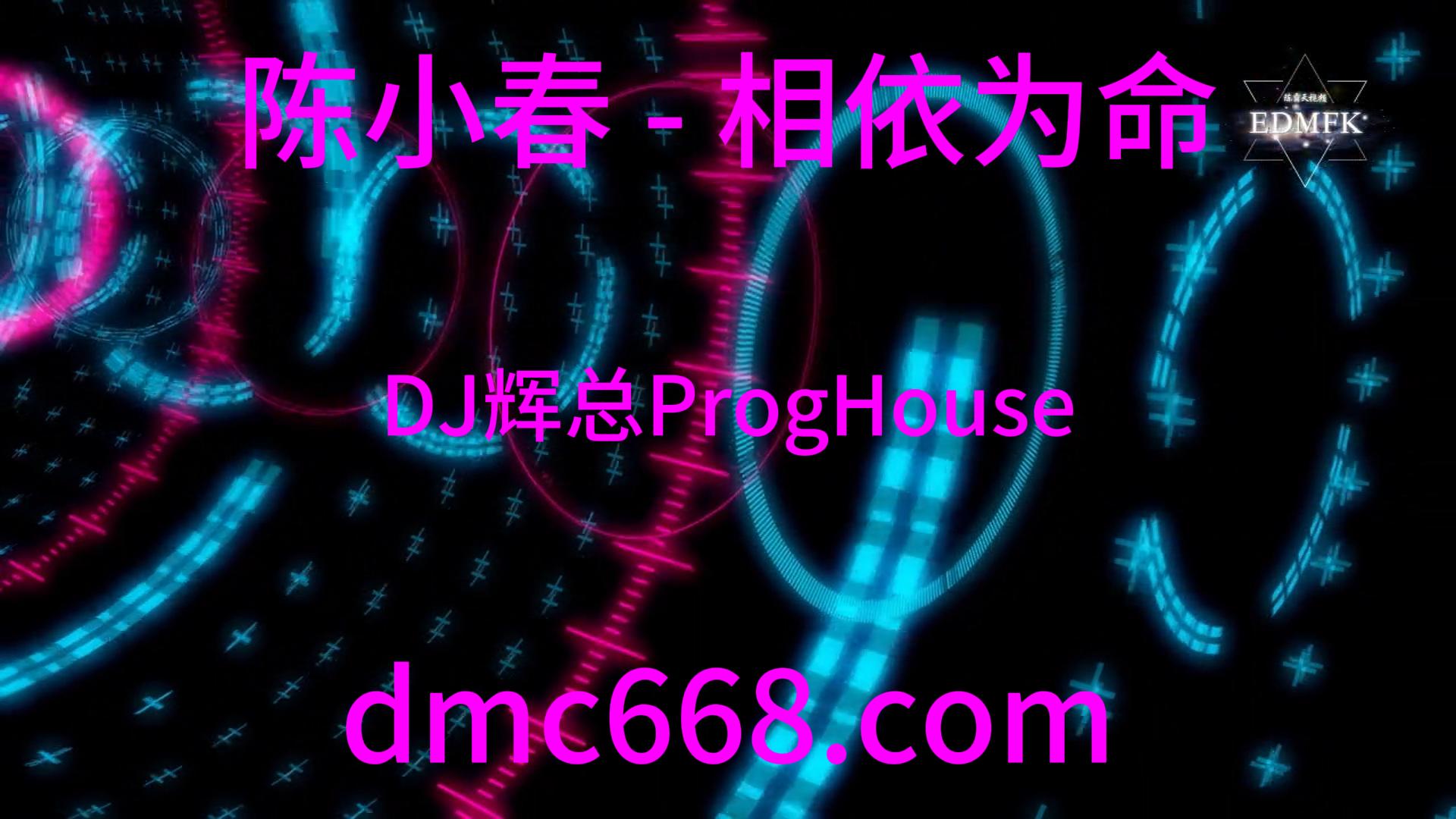 陈小春 – 相依为命（DJ辉总 ProgHouse Remix)演唱会版-DMC视频舞曲