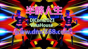 半醉人生-DMC视频舞曲