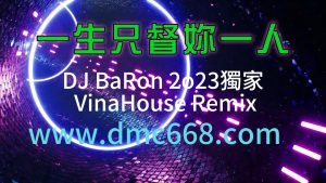 一生只督你一人-DMC视频舞曲