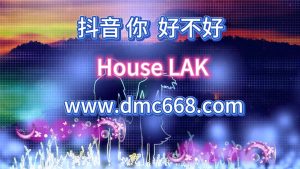 抖音 你，好不好-DMC视频舞曲