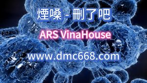 刪了吧-DMC视频舞曲