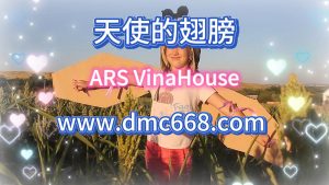 天使的翅膀-DMC视频舞曲
