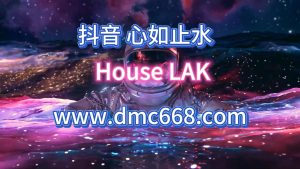 抖音 心如止水-DMC视频舞曲