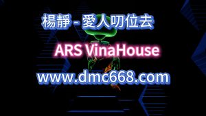 愛人叨位去-DMC视频舞曲