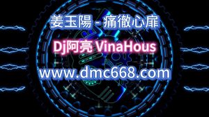 痛徹心扉-DMC视频舞曲