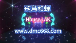 飛鳥和蟬-DMC视频舞曲