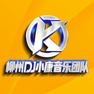 柳州DJ小康音乐团队整理♪弹跳VN英文♪套曲V01-DMC视频舞曲